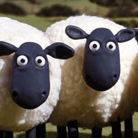 Waspadai Serangan Domba Api di Area Hotspot