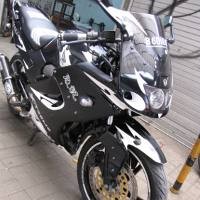 Honda Tiger Berbaju Ninja