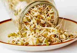 Pria Makin Perkasa dengan Makan Taoge