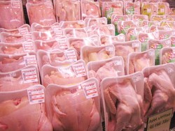 MUI Berikan Pengakuan Halal Bagi RPU Amerika