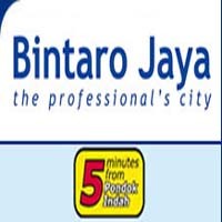 Keluhan Jalan di Bintaro Sektor 5 