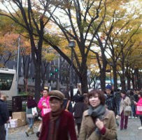 Kota Modern yang Begitu Tenang