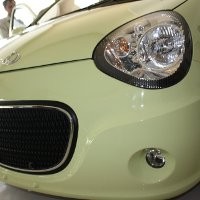 Bedah Jeroan Si Imut Panda