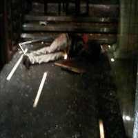 Mengaku Tidak Bersalah, 4 Terdakwa Kasus Blowfish Minta Dibebaskan