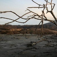 Pembinaan SDM Strategis: Solusi Permasalahan Bumi 