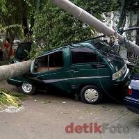Pohon Tumbang di Salemba Masih Dievakuasi, Lalin Matraman-Senen Padat