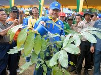 Penghijauan di  Riau