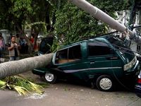 Pohon Tumbang Timpa Mobil