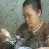 Melukis Tokoh Wayang di Sangkar Burung Laris Manis