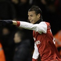 Kejamnya Premier League di Mata Chamakh