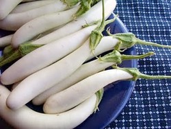 Renyah Serta Empuk Si Terong Putih