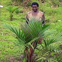 Pembangunan Infrastruktur Papua Makan Waktu 3 Abad