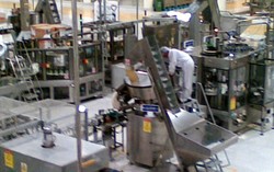 Pengusaha Pribumi Rebutan Kursi Kekuasaan