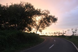 Menyingkap Pesona Pantai Air Petai