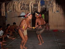 Nyanyian Alam dari Bumi Sikerei