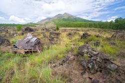 Susuri Lava Flow Gunung Batur
