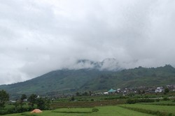 Hamparan Agro Menuju Dieng Plateau