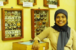 Seribu Kupu-Kupu di Papua 