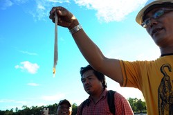 Merasakan Tambelo, Menantang Nyali