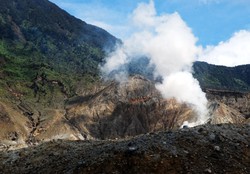 Pengancam yang Cantik di Papandayan