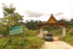 Taman Nasional Bukit Tigapuluh (TNBT)