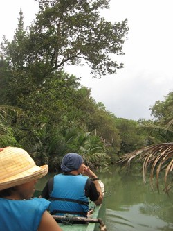 Sensasi Hujan Saat Berperahu di Hutan Bakau
