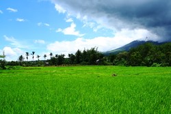 Menikmati Kesederhanaan Hidup di Kaki Gunung Dempo