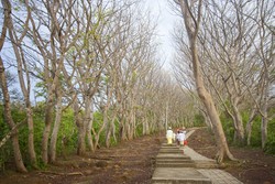Romantisme Berakhir Tragis di Makam Jayaprana dan Layonsari