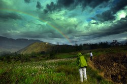 Bidadari Turun di Suroba