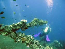 Selamat Datang di Taman Bermain Bawah Laut Tulamben