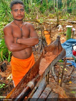 Jutawan Bersahaja dari Hutan Wabudori
