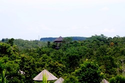 Samboja Lodge, Mendefinisi Ulang Arti Kemewahan