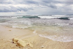 Ayo ke Tanjung Setia