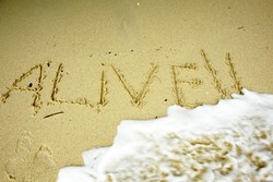 Menaklukkan Liarnya Teluk Kiluan