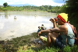 Panen Ikan Bersama di Teban Lebar, Pagaralam