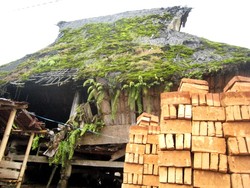 Rumah Berumur 250 Tahun? 