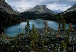 Sumber Air Minum Terbaik Ada di Pegunungan Vulkanik