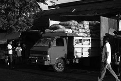 Hitam Putih Tobelo  yang Kaya Warna