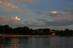 Baronang Bakar Tembok Berlin