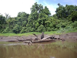 Petualangan Malam yang Penuh Tandangan di Sepanjang Sungai Daerum