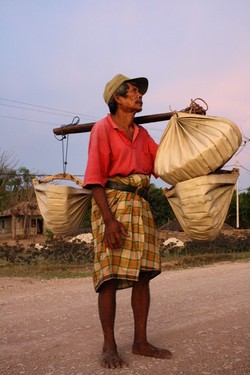 Menikmati Manisnya Tuak Pohon Lontar
