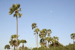Mengenal NTT, memperkaya Budaya kita