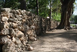 Pagar Sabu, Pagar Batu Masyarakat Pulau Rote