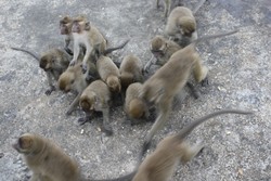 Pesona Bawah Air Gili Trawangan