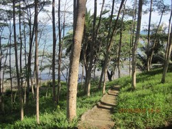 Mereka Bilang itu Liquer (Seri Kearifan Lokal #4)