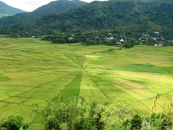 Mereka Bilang Itu Sawah Laba - Laba ( Seri Kearifan Lokal #5)
