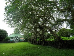 Benteng Liya Togo dan Legenda Talo-talo