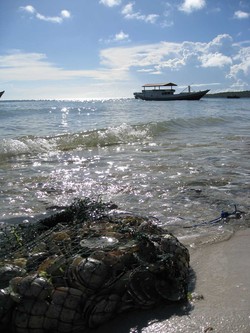 Saat Pasir Terasa Begitu Suci