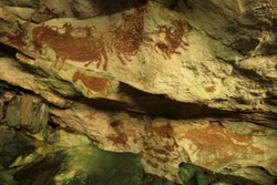 Rahasia Raha: Manusia Prasejarah Kabupaten Muna