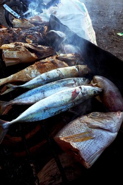  Nasi Santan Tangan Hitam